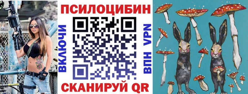 ОМГ ОМГ вход  Мегион  Псилоцибиновые грибы MAGIC MUSHROOMS 